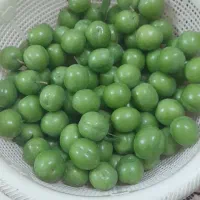 هلوژه جوان