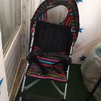 کالسکه عصایی