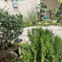 115 مترتیسفون تکواحدی