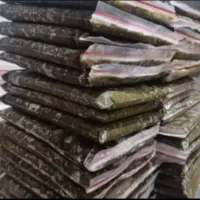سبزی خورشتی،ماهی،پلویی،نعنا،پودرسیر