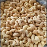 بادام هندی سایز ۲۴۰