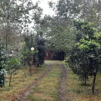 خانه-ویلایی-800-متر