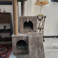 تخت و اسکرچر گربه نو
