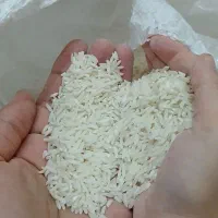 فروش برنج طارم هاشمی