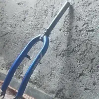 یک عدد دشاخ تنع سالم