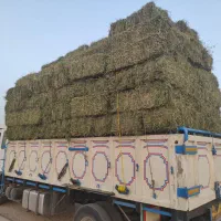 پرس یونجه خشک ویونجه خرد شده