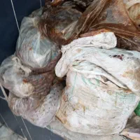 خرما ضایعات