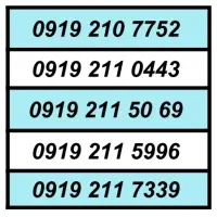 09192072530