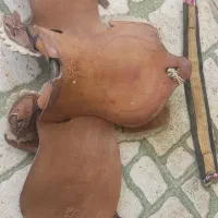 زین اسب