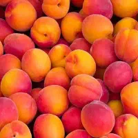 زردآلو خریدار هستیم