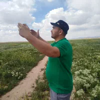 راننده تریلی هستم