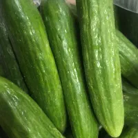 میوه(خیار و لوبیا)