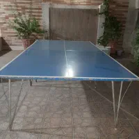 میز پینگ پنگ
