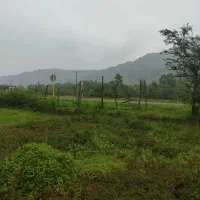 زمین  ۵۷۰ متری در سیاهمزگی