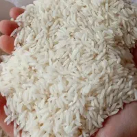 برنج درجه یک هاشمی از کشاورز