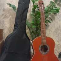 گیتار به همراه کیف