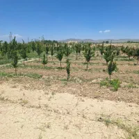 دوجریب باغ جنب باغ سپنتا