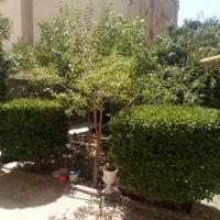 ویلایی 360 متری دربست فروش فوری