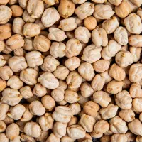 فروش عمده و جزئی گندم،نخود