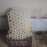 دستگاه جوجه کشی۵۰۰تایی