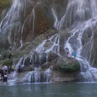 مشارکت