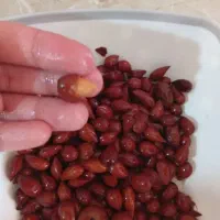 ماکت بادام