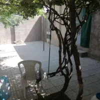 خانه باغ