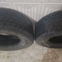 لاستیک پاترول