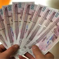 فراخوان همکاری افراد بالای ۱۸ سال
