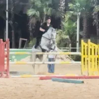 اسب