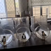 تنگ یخدر بهشت اگولونی