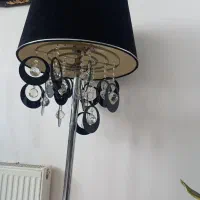 یک عدداباژور ایستاده
