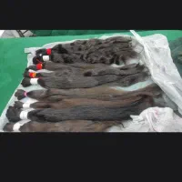 خریدار مو بدون واسطه و دلال