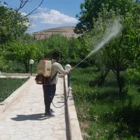 باغبانی سمپاشی گل کاری هرس کاری سم پاشی کود دهی و