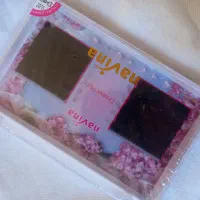 پالت مژه