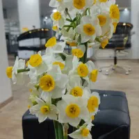 دعوت به همکاری درلاین ناخن