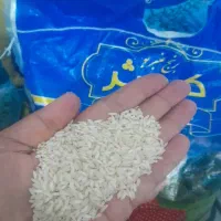برنج. معطر.عنبربو