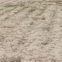 فروش زمین کشاورزی