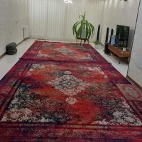 تکادو a2