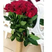 ازگلخونه به خانه رز هلندی ومینیاتوری