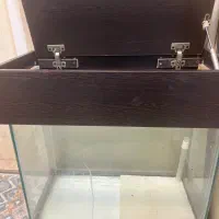 آکواریوم شرکتی بزرگ به همراه باکس