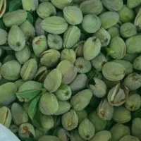 فروش پوست بادام برای غذای گوسفندان