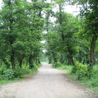 450-متر-زمین-تجاری-سنددار-بر-اصلی-اتوبان