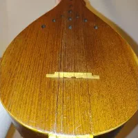 سه تار‌ حرفه ای ابطحی