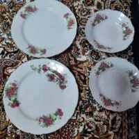 بشقاب گل سرخ و سوپ خوری