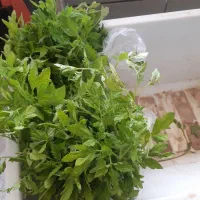 نشاء یا چقر گوجه بادمجان