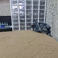 شیم گیری روکار پژو
