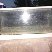 آکواریوم بزرگ 70سانت