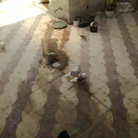 فروش
