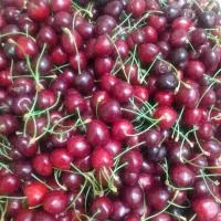 گیلاس تک دانه وگیلاس صورتی